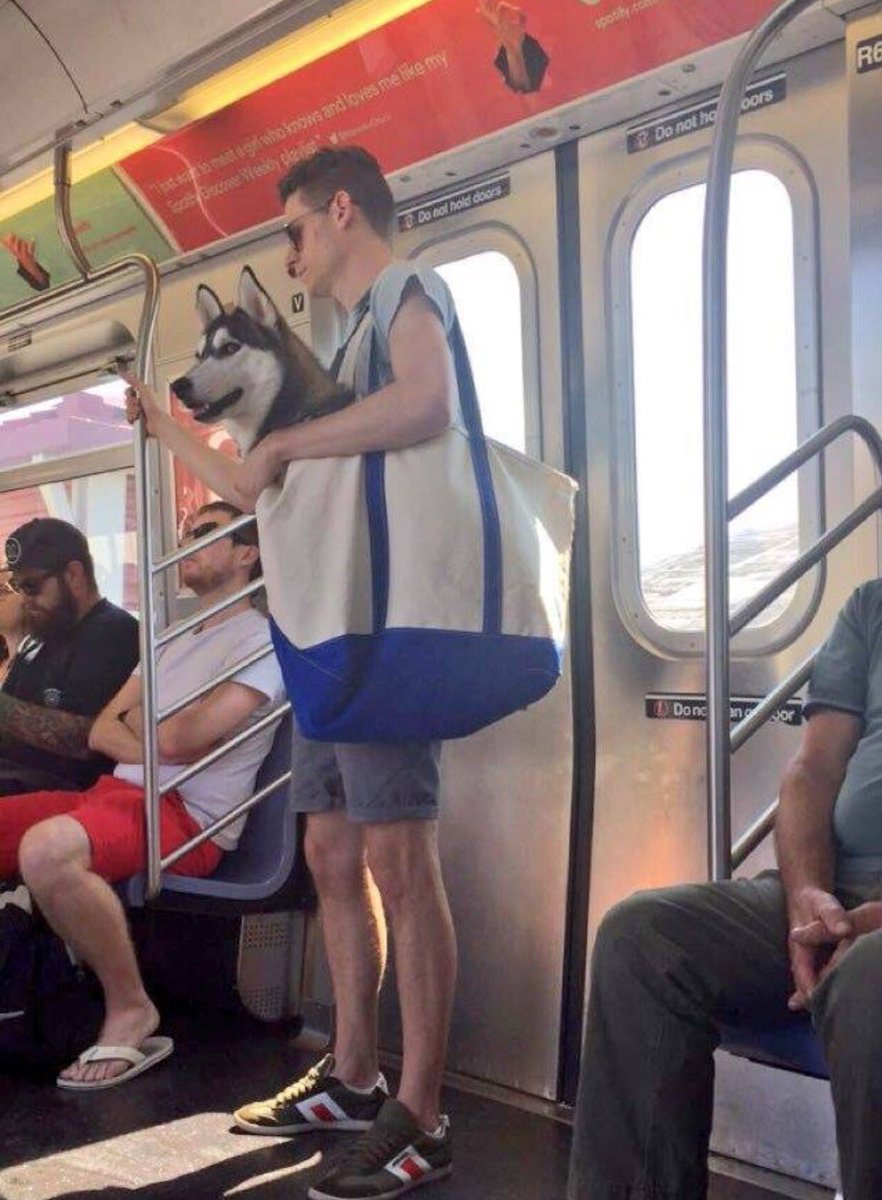 �ق̂ڂ̏E���摜3���� [���f�]�ڋ֎~]©2ch.net	YouTube����>2�{ ->�摜>1430�� 