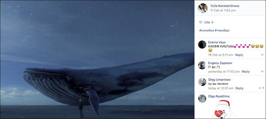 inside_whale