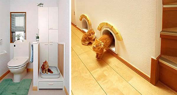 home-for-animal-lovers07