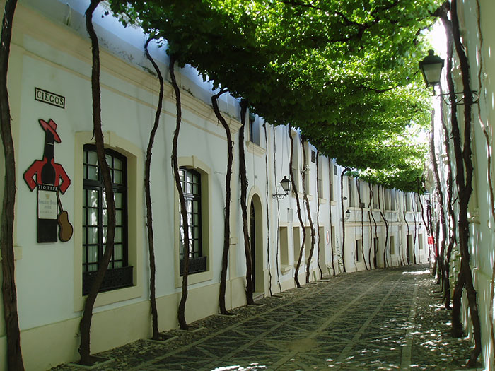 avenue10