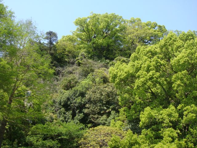 08tokushima