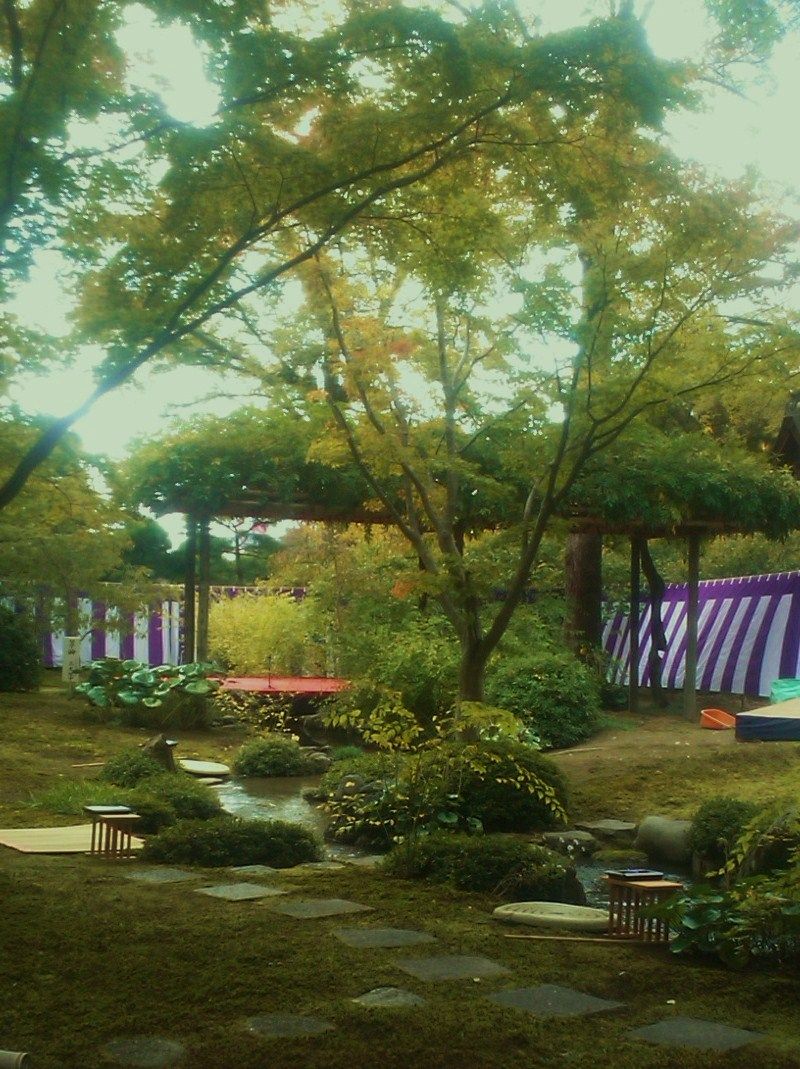 SN3R0036