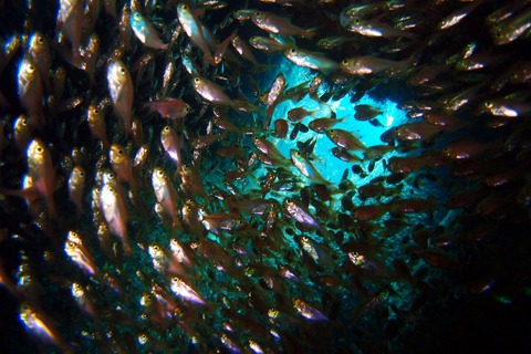 20130829_0641