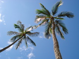 d4898c5a.JPG