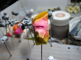 20111130_saku_03