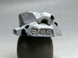 20101209_theo_03