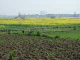 changshu_1