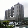 sh0249.jpg