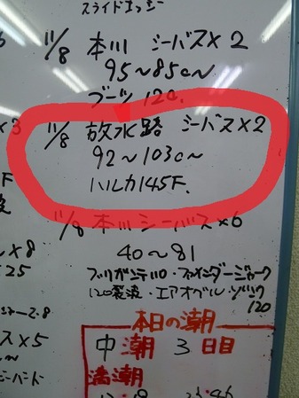 P1020031