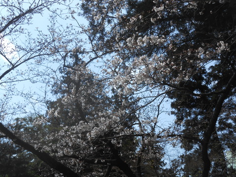 DSCN0285