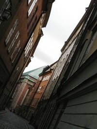 IMGP7193