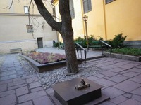 IMGP7314