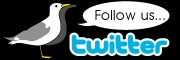 twitter twitter