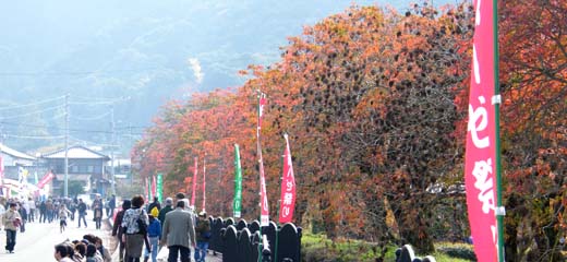 柳坂曽根の櫨並木