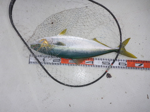 P1000890