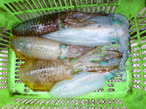 P1000581
