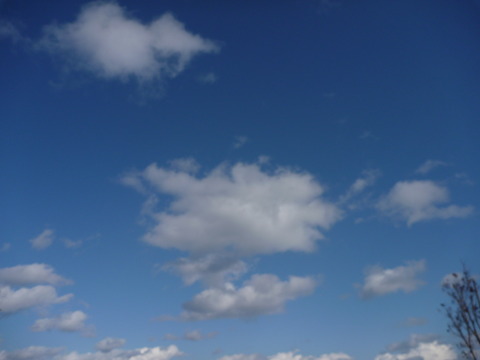 P1050607
