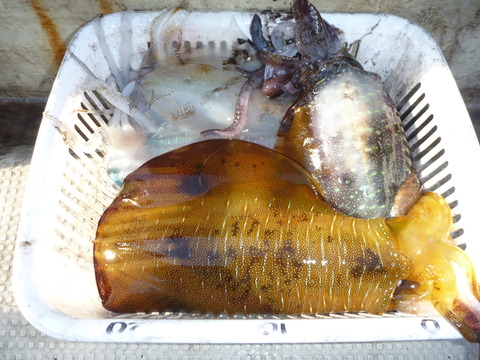 P1050479