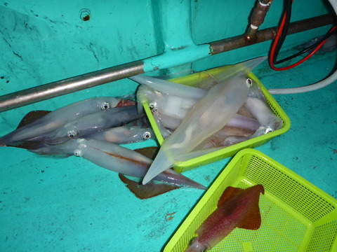 P1020047