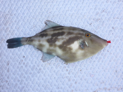 P1000714