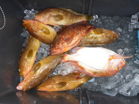 P1020739