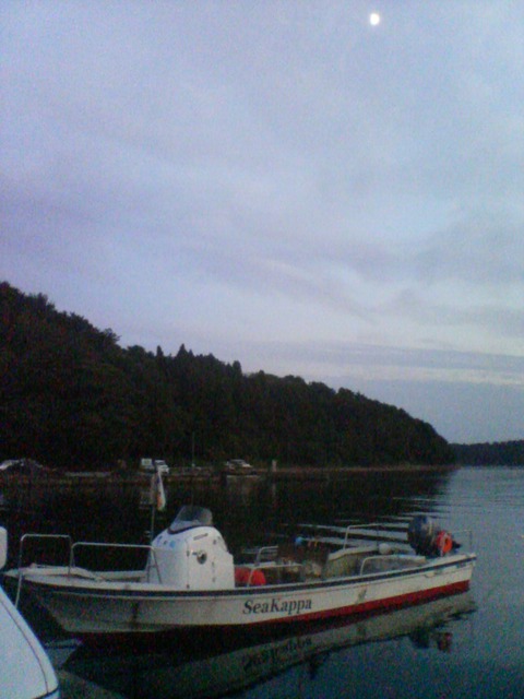 DSC00248