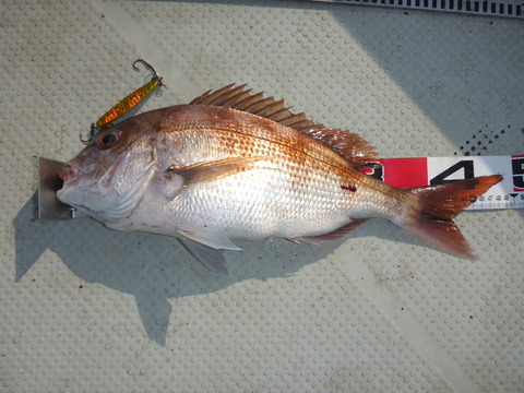 P1010035