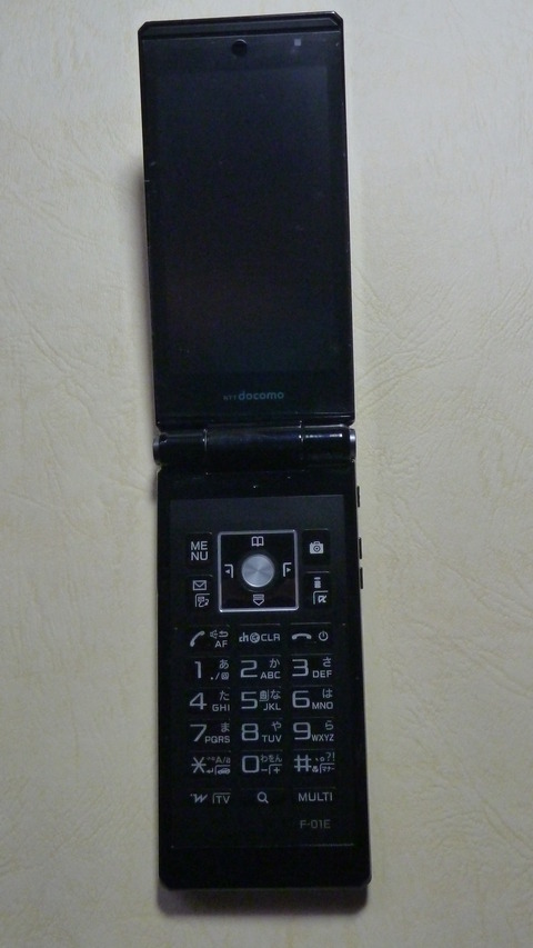 P1070818