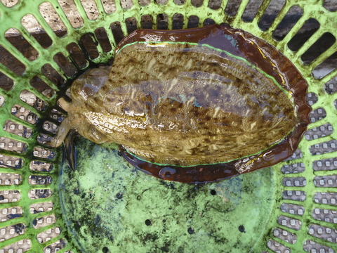 P1070261
