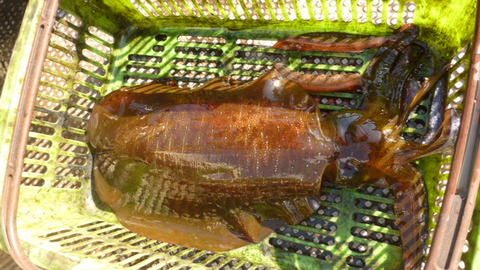 P1020468