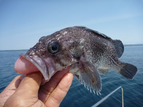 P1040420