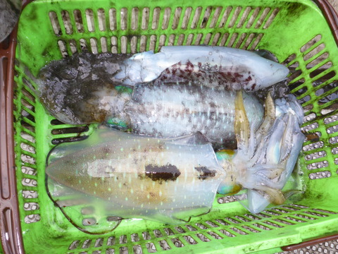 P1000577