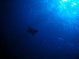 DSCF8009