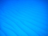DSCF8007