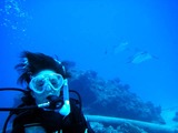 DSCF8045