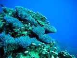 DSCF8055