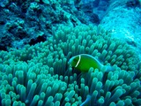 DSCF9123