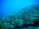DSCF8053
