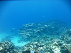 20160901SN02