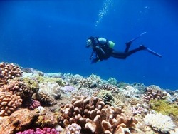 aaa
