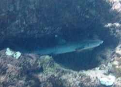 20160908sn3