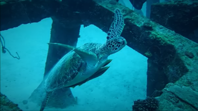 スナップショット 1 (2015-01-12 14-03)