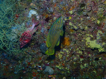 P8120221