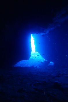 P9020761