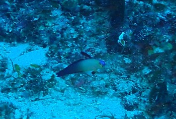 P8110214