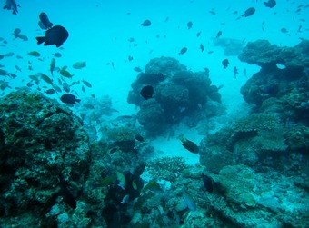 IMG_2130 - コピー