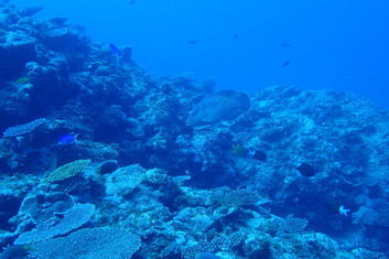 P4290661
