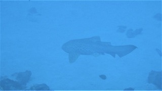 IMG_2157