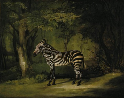 動物たちの西洋絵画その13 スタッブス シマウマ フェルメール探訪