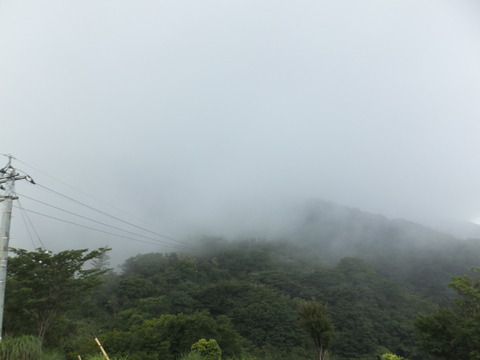 DSCF6005